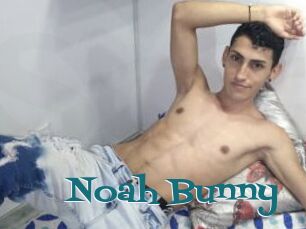 Noah_Bunny