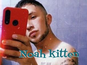 Noah_kitten