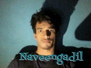 Naveengadil