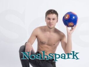 Noahspark