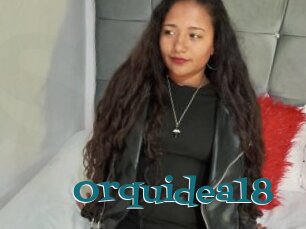 Orquidea18