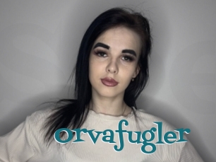 Orvafugler