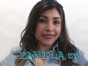 PAMELA_zv