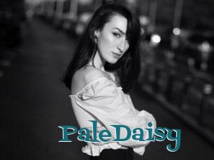PaleDaisy