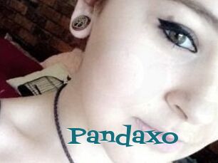 Pandaxo