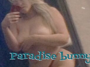 Paradise_bunny