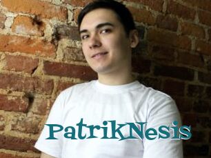 PatrikNesis