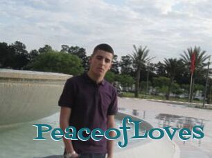 PeaceofLoves
