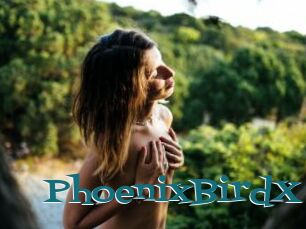 PhoenixBirdX