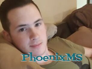 PhoenixMS
