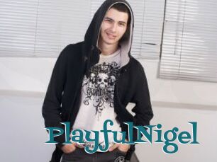 PlayfulNigel
