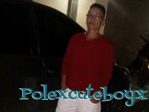 Polexcuteboyx