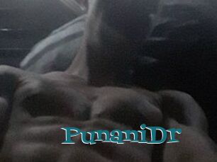 PunaniDr