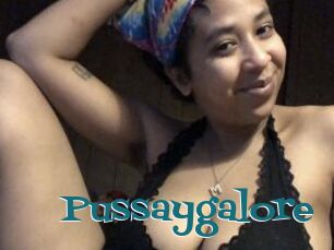 Pussaygalore