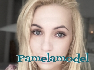 Pamelamodel