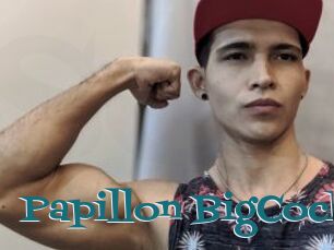 Papillon_BigCock