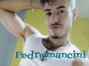Pedromancini