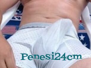 Penesi24cm