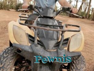 Pewnis