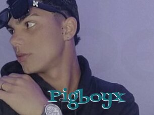 Pigboyx