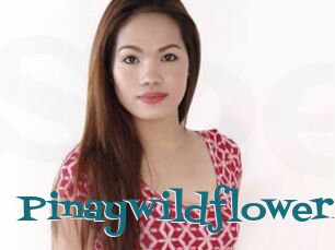 Pinaywildflowerx