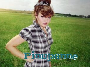 Pinupanne