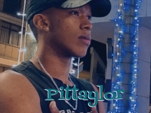 Pittaylor