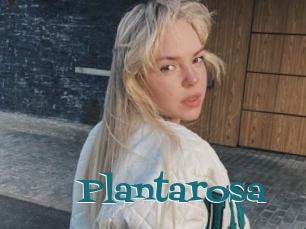 Plantarosa