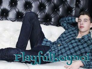 Playfulboynoi