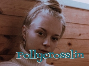Pollycrosslin