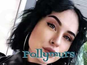Pollymurs