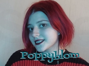 Poppyblom