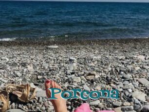 Porcona