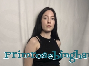 Primrosebingham