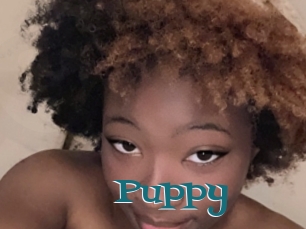Puppy