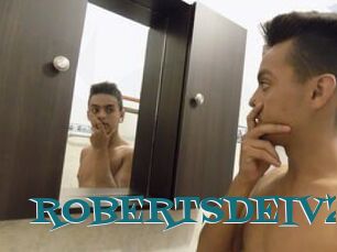 ROBERTSDEIV2