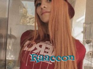 Raaccon