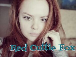 Red_Cuttie_Fox