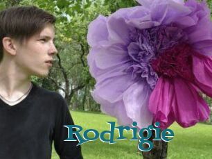Rodrigie