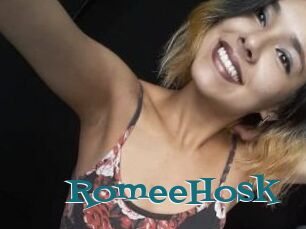 RomeeHosk