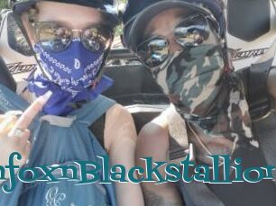 RussianfoxnBlackstallion