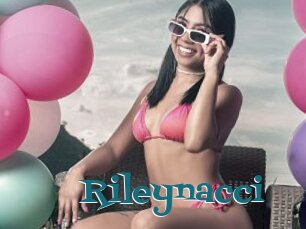 Rileynacci