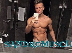 SANDRO_MUSCLE