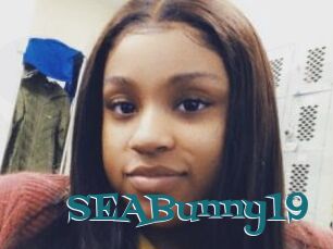 SEABunny19