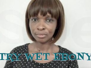 SULTRY_WET_EBONY