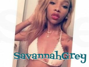 Savannah_Grey