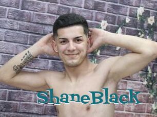 ShaneBlack