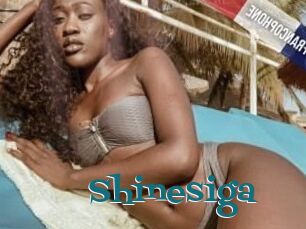 Shinesiga
