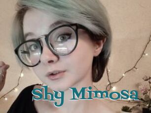 Shy_Mimosa