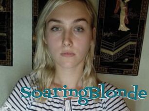 SoaringBlonde